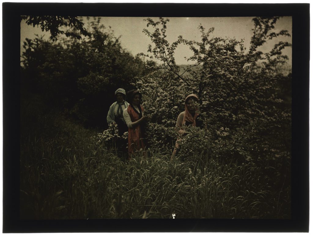 Une Deux Ou Trois Femmes Dans La For T Nsad Nancy Autochromes