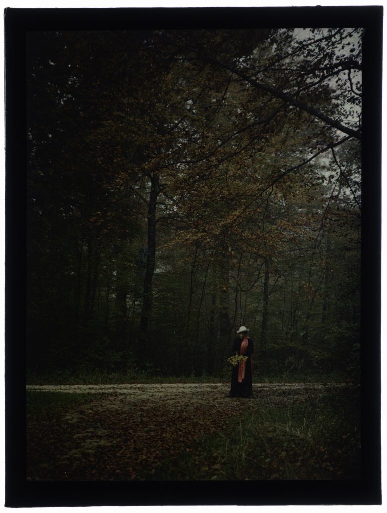 Femme Dans La Forêt ÉNSAD Nancy Autochromes