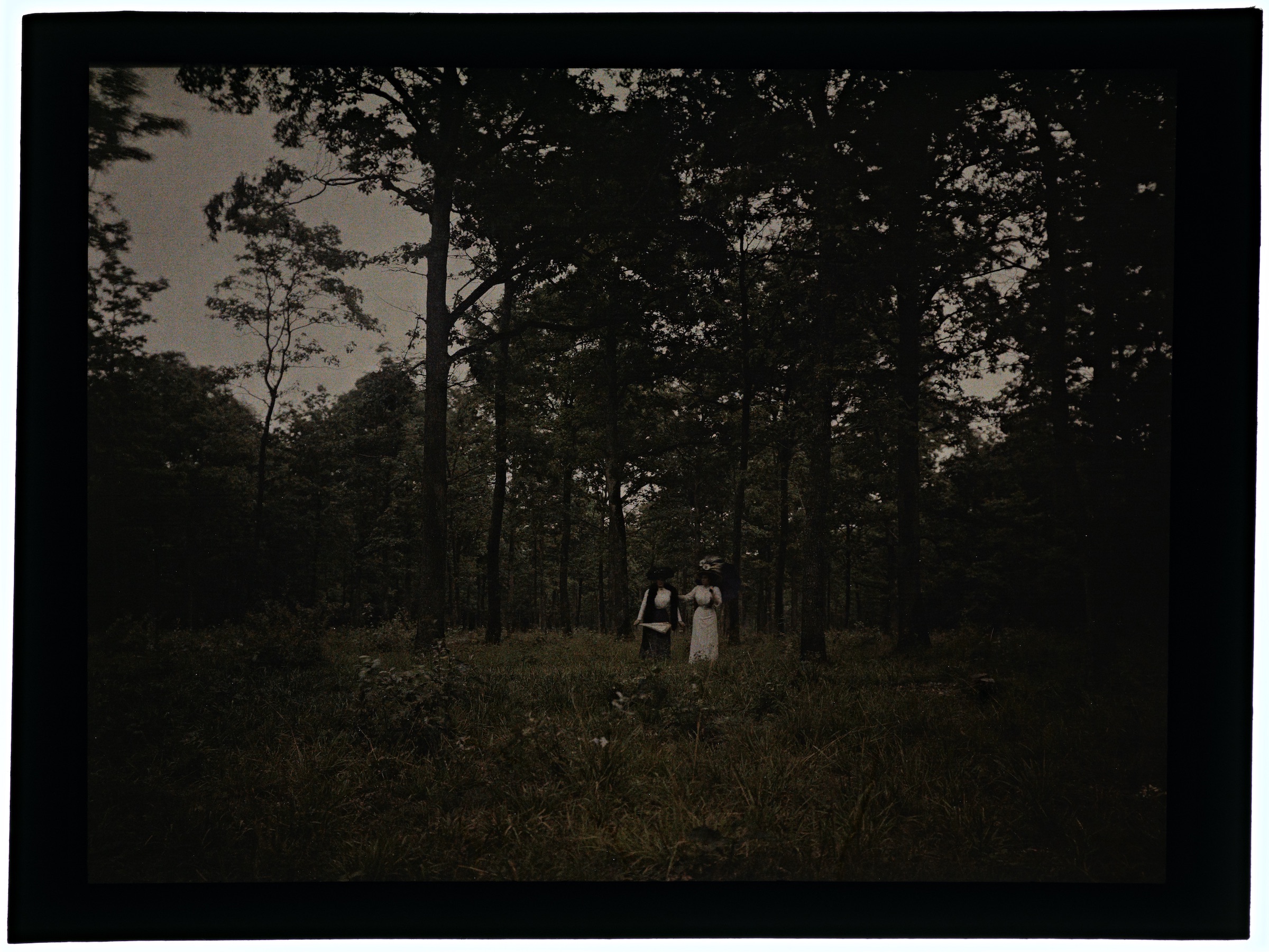 Deux femmes dans la forêt et dans la campagne