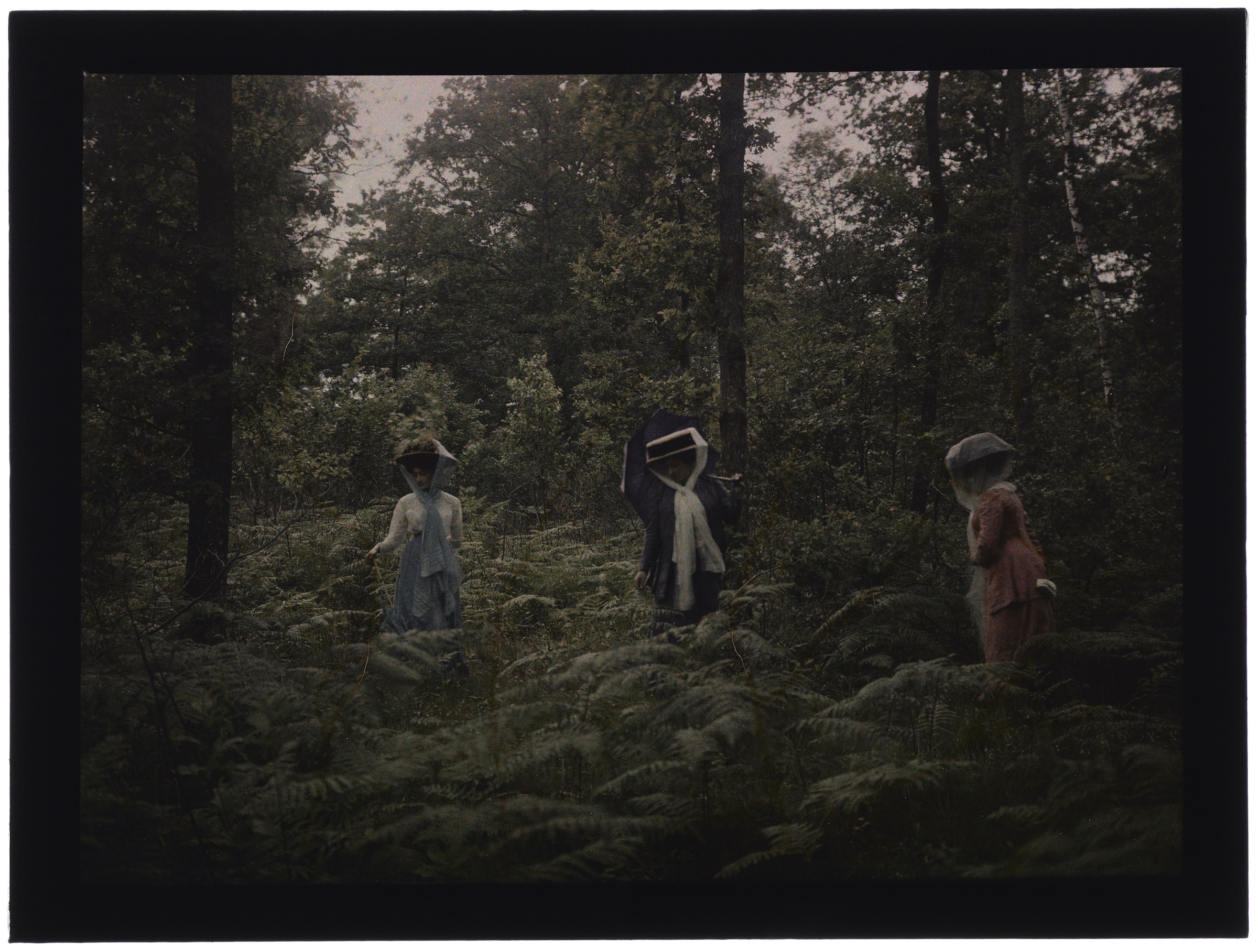 Femmes dans la forêt