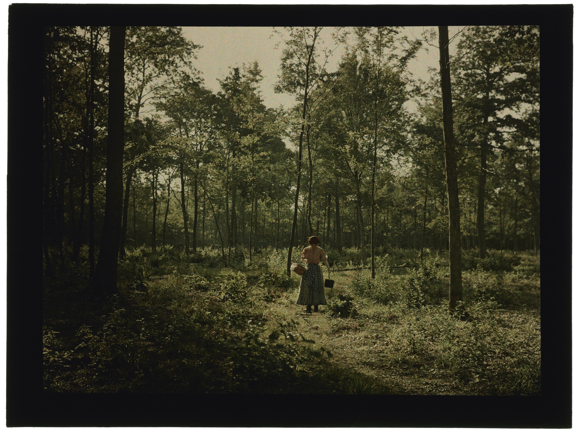 Femme paysanne dans la forêt