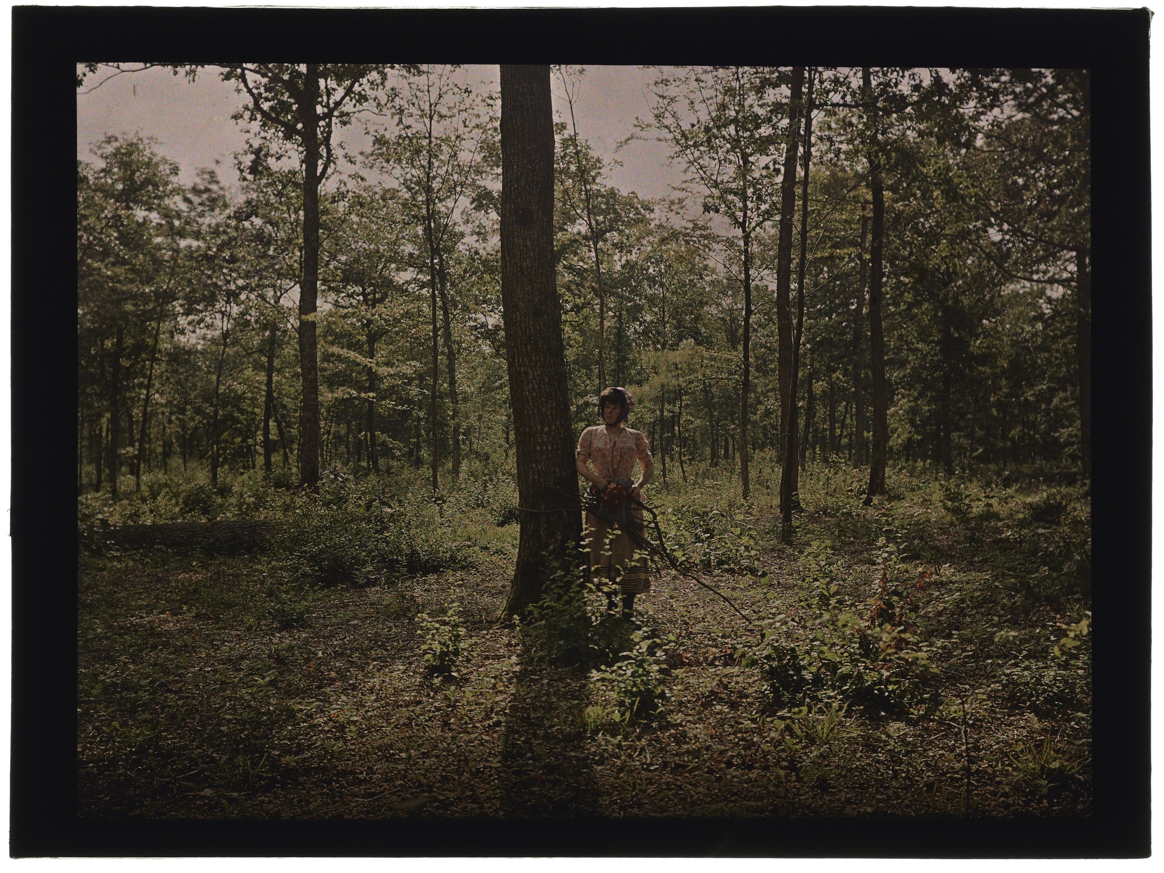 Femme paysanne dans la forêt
