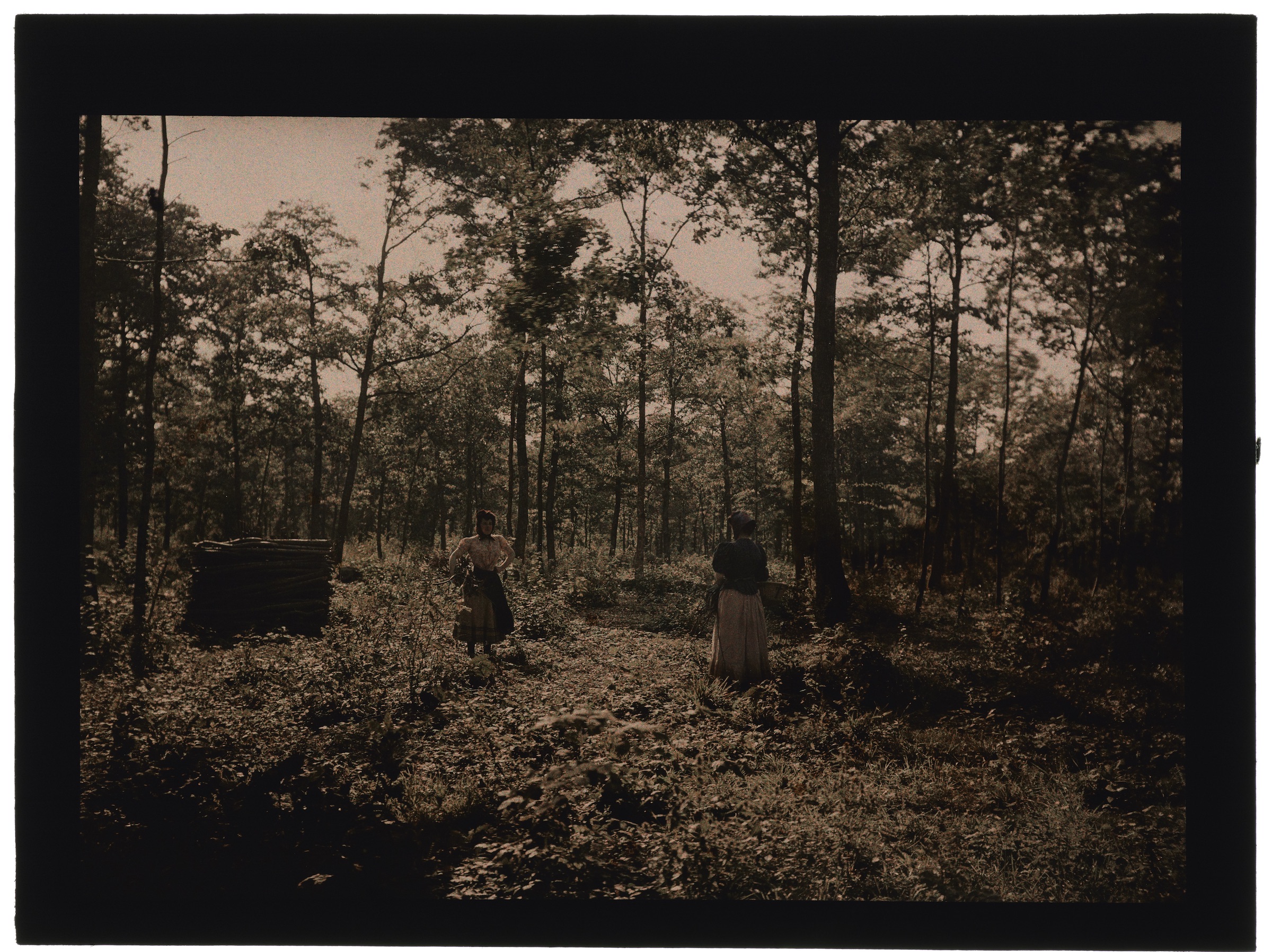 Deux femmes paysannes en forêt, pique-nique sur un tronc d'arbre