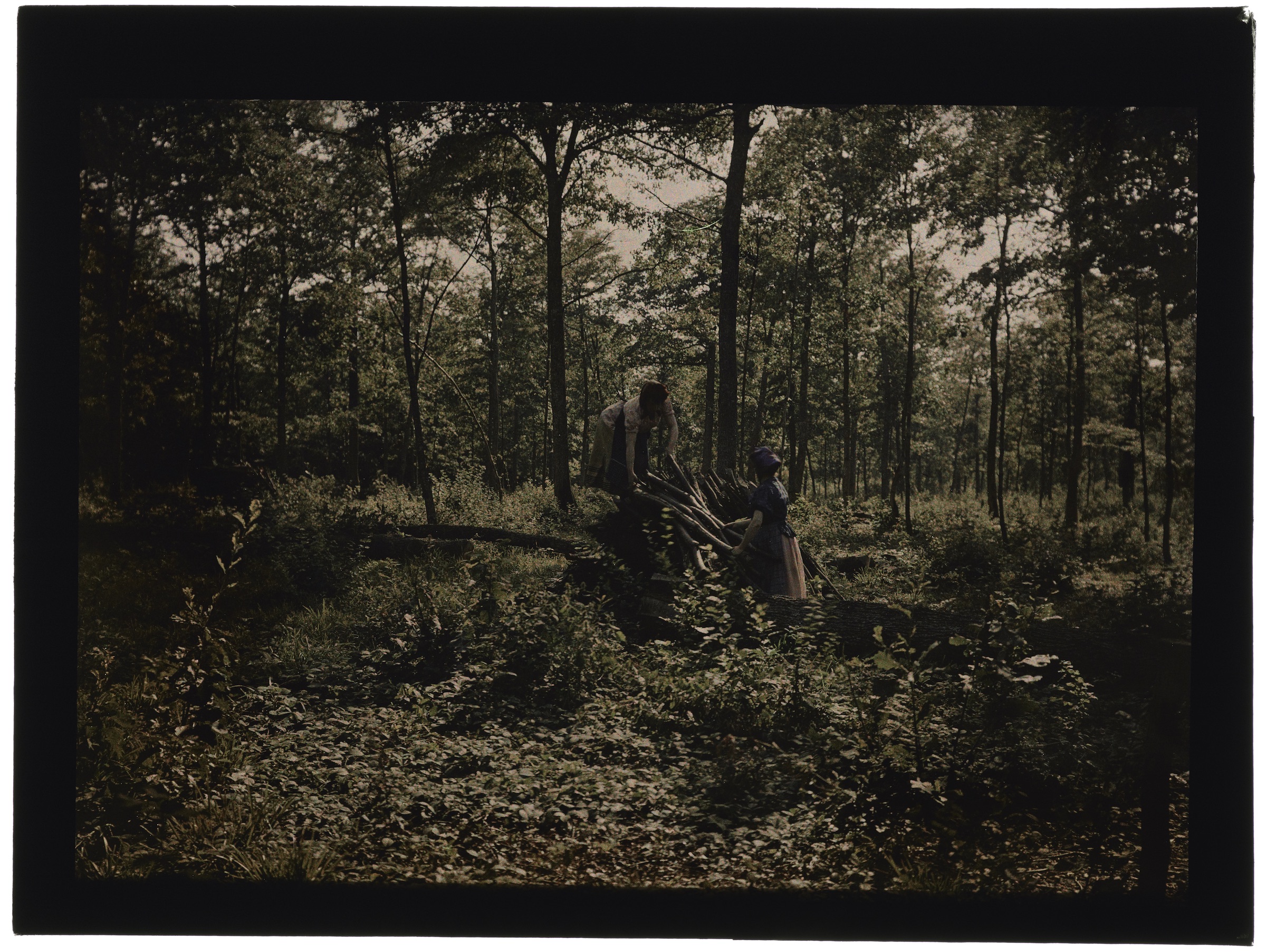 Deux femmes paysannes en forêt, pique-nique sur un tronc d'arbre