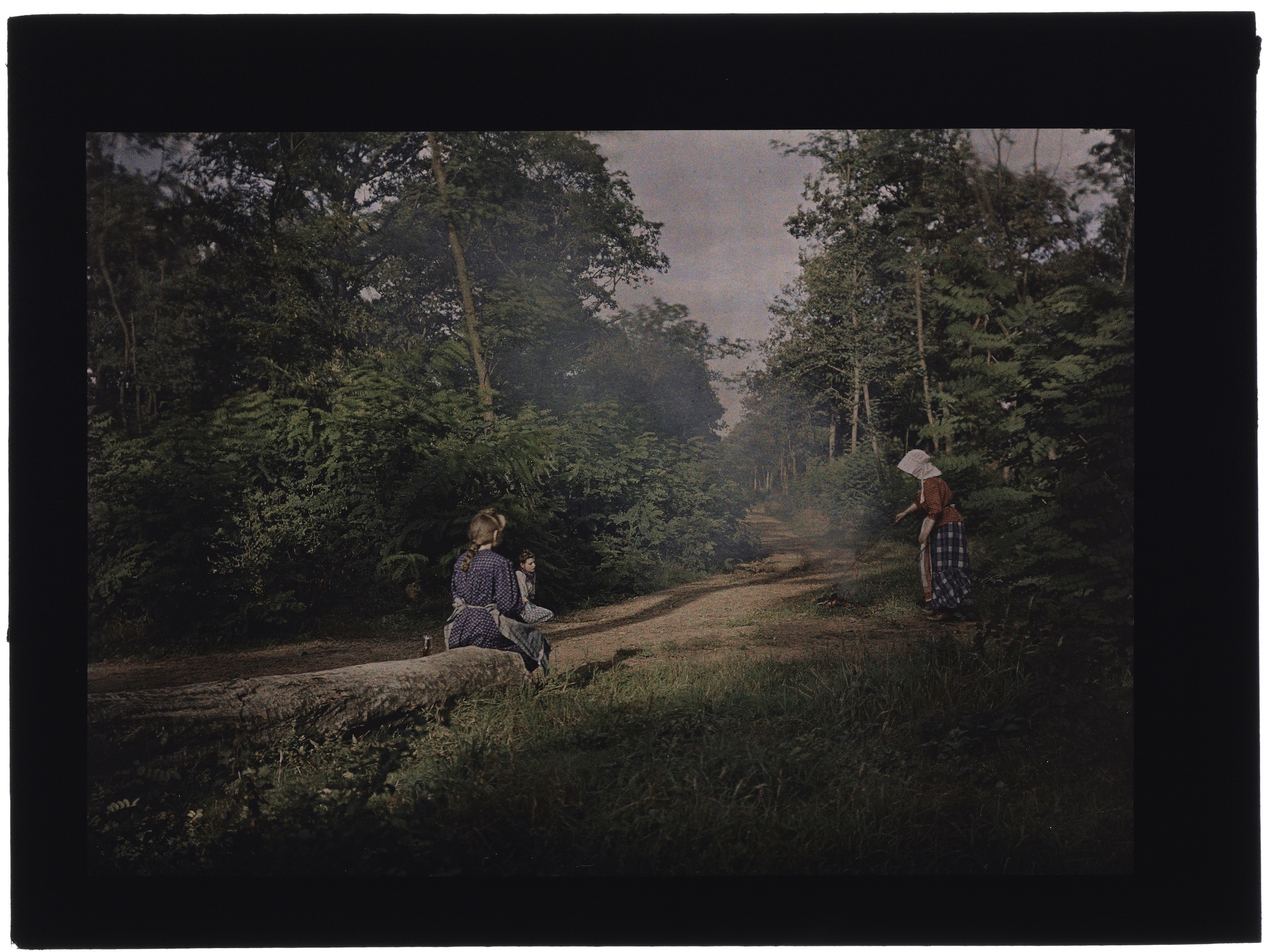 Deux ou trois femmes paysannes en forêt, pique-nique sur un tronc d'arbre