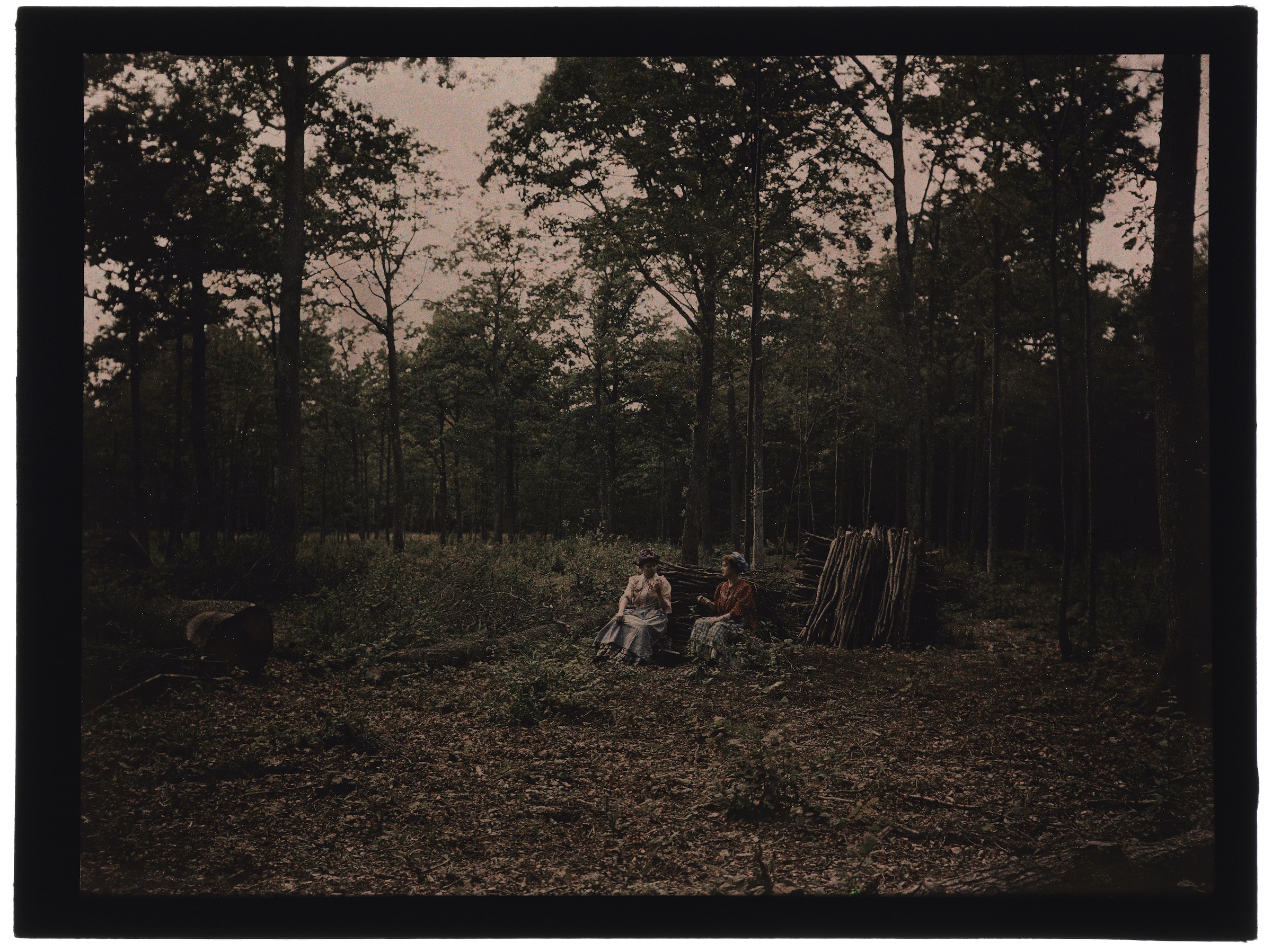 Deux ou trois femmes paysannes en forêt, pique-nique sur un tronc d'arbre
