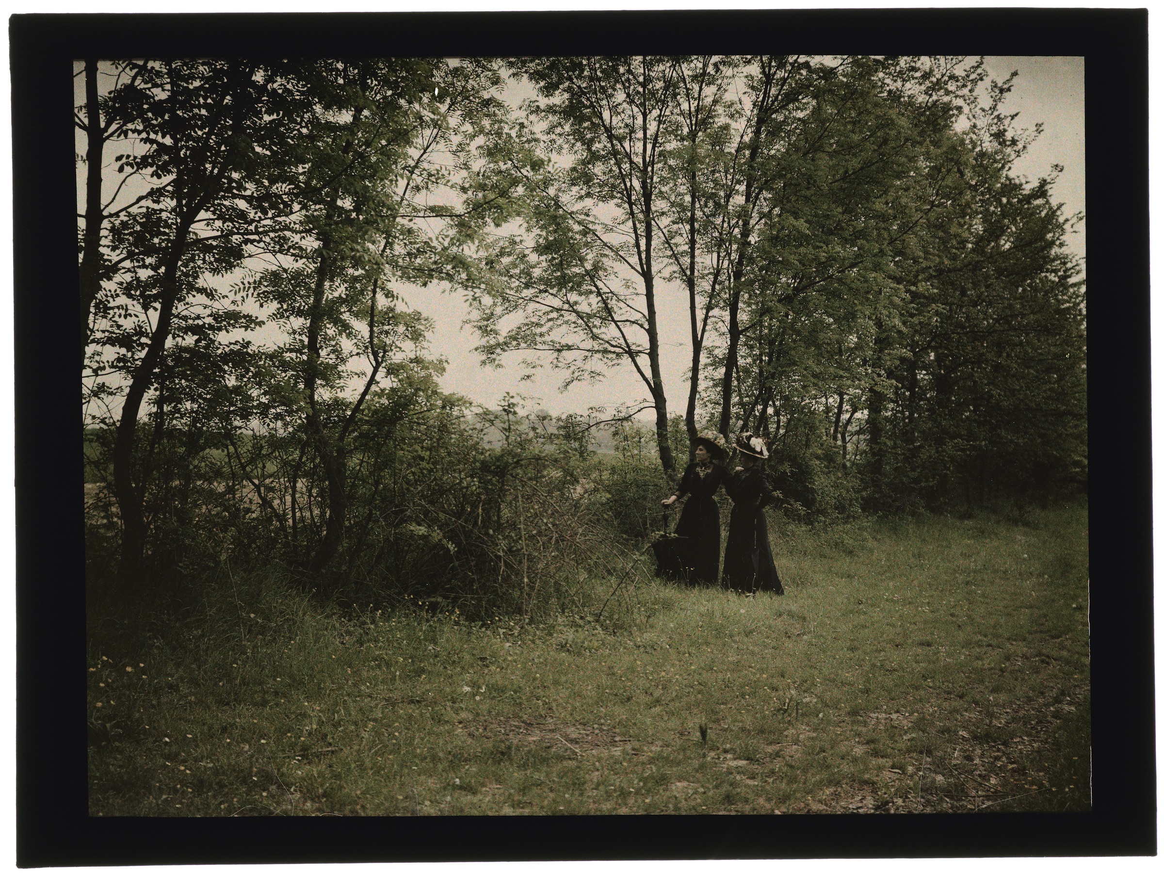 Deux femmes dans la forêt
