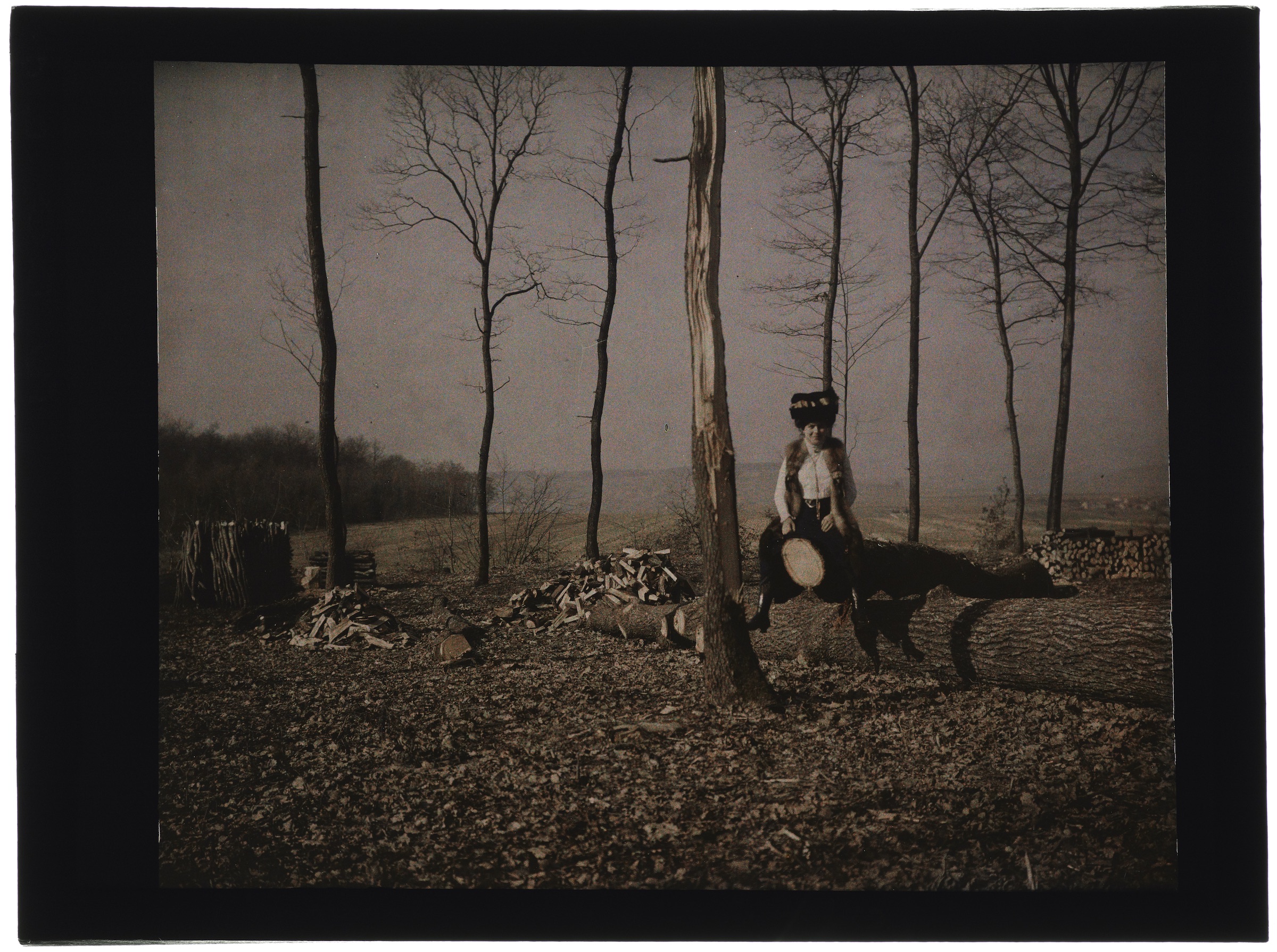 Femme dans la forêt assise sur un tronc