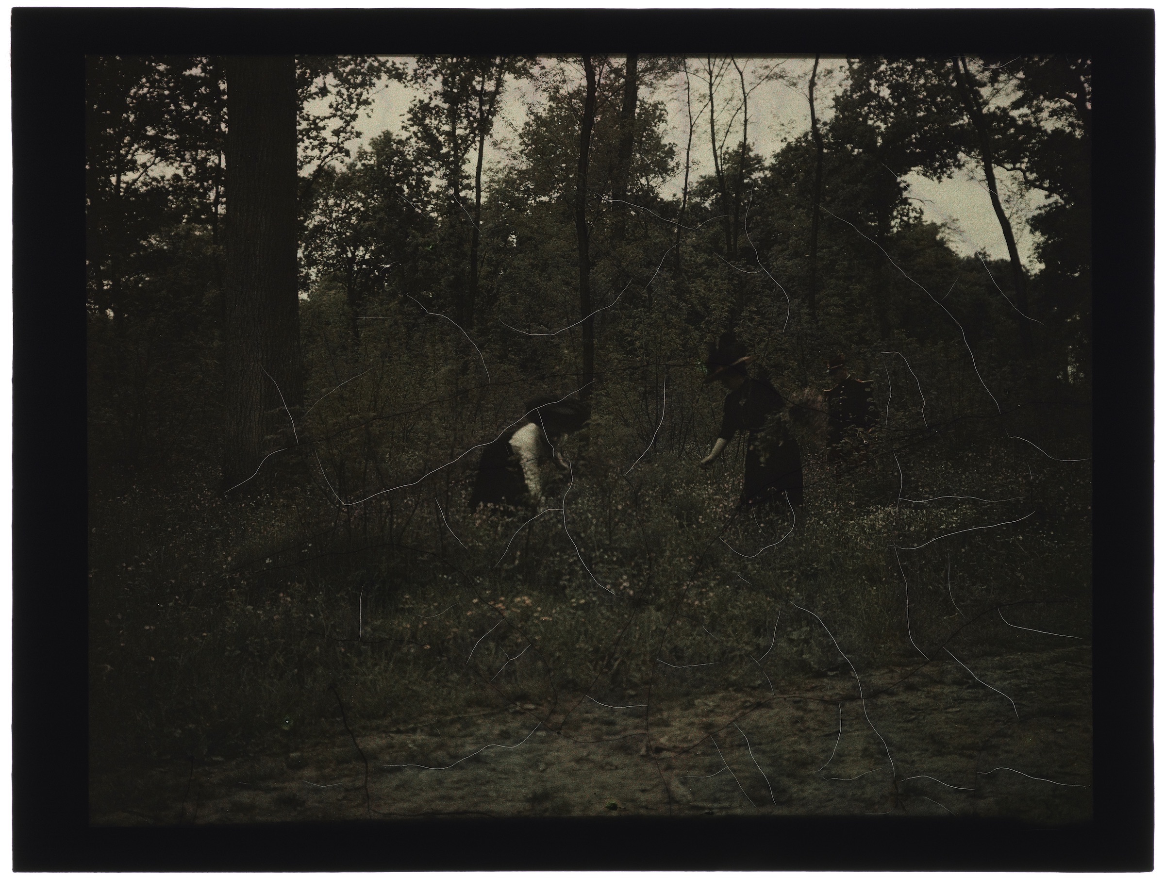 Deux femmes en forêt avec un soldat