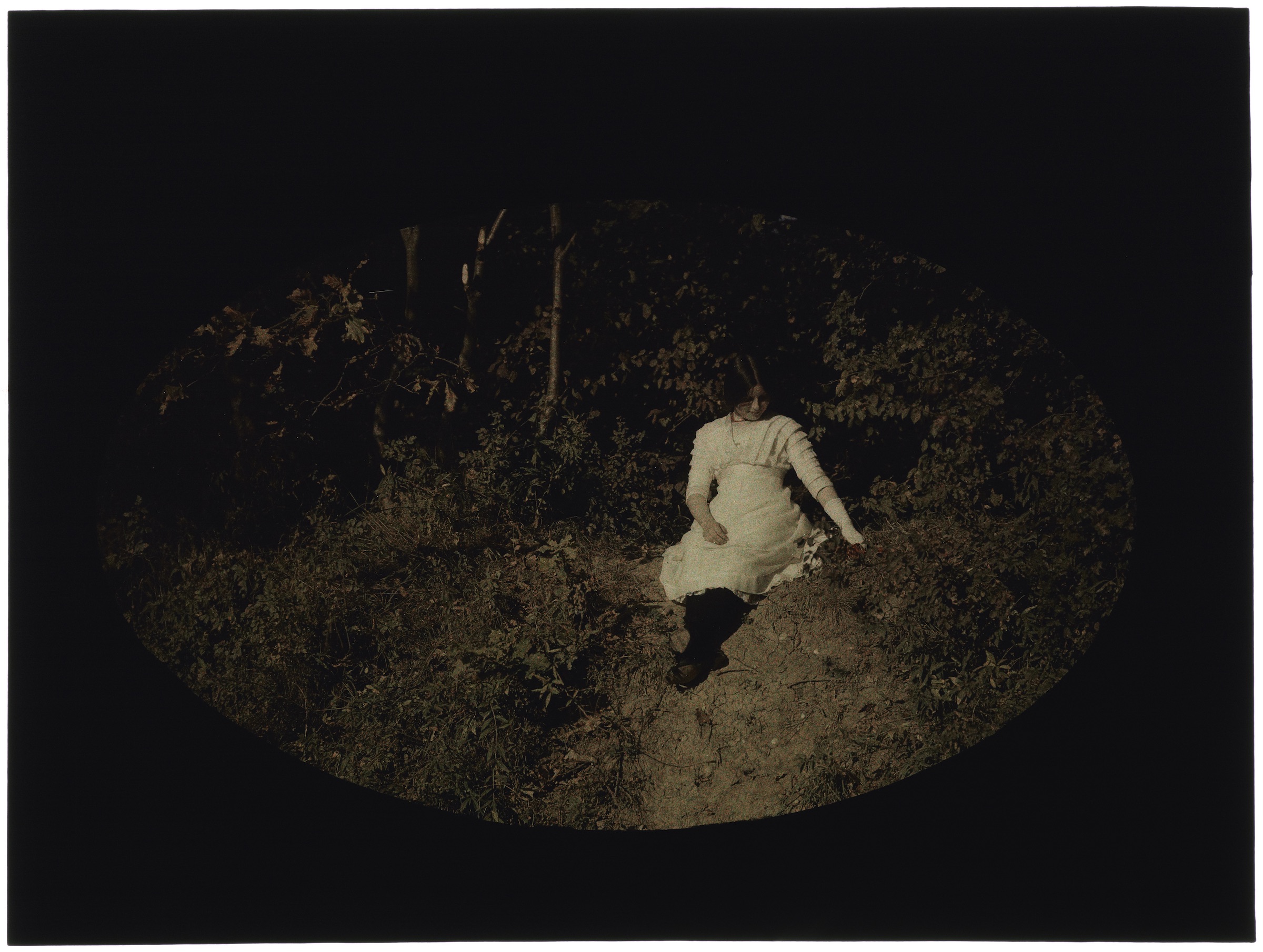 Femme en blanc sur un talus de la forêt
