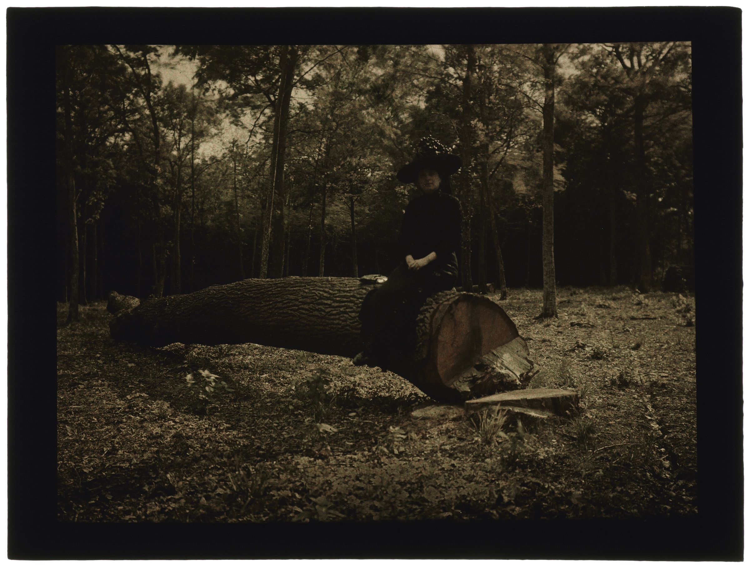 Femme dans la forêt assise sur un tronc