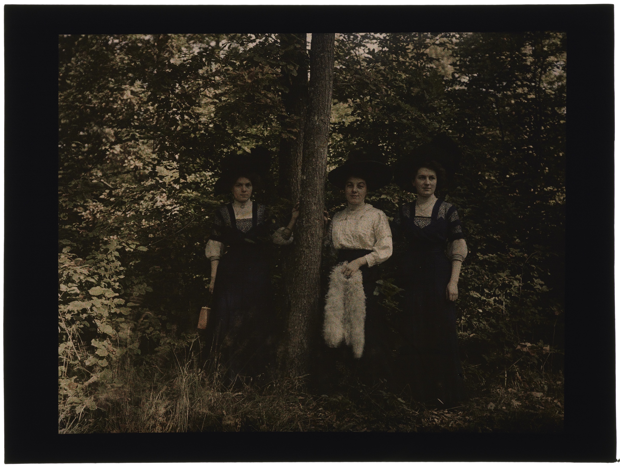 Trois femmes en forêt