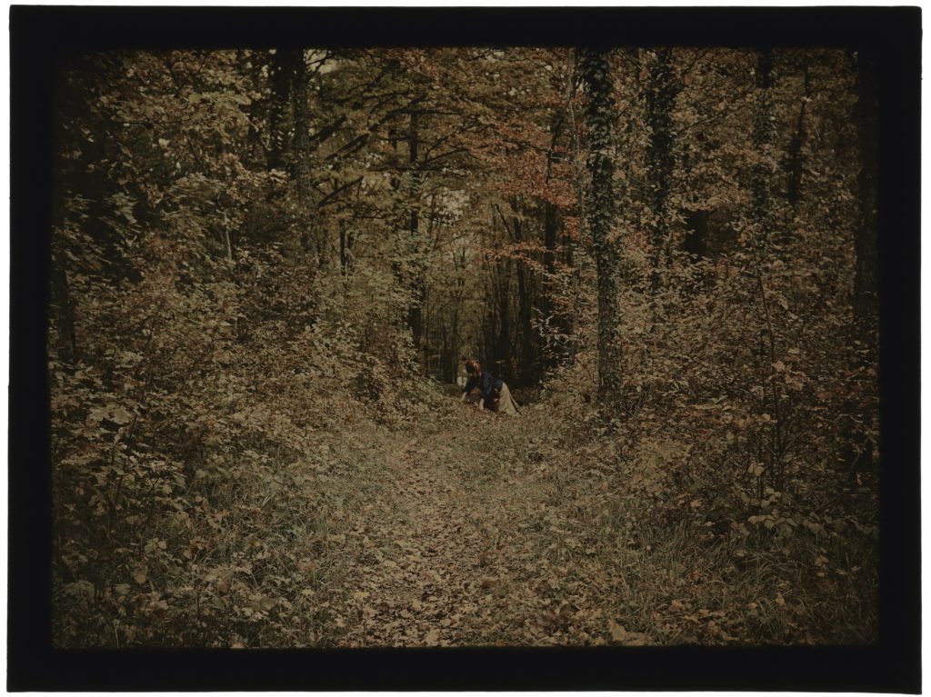 une deux ou trois femmes dans la forêt Énsad nancy autochromes