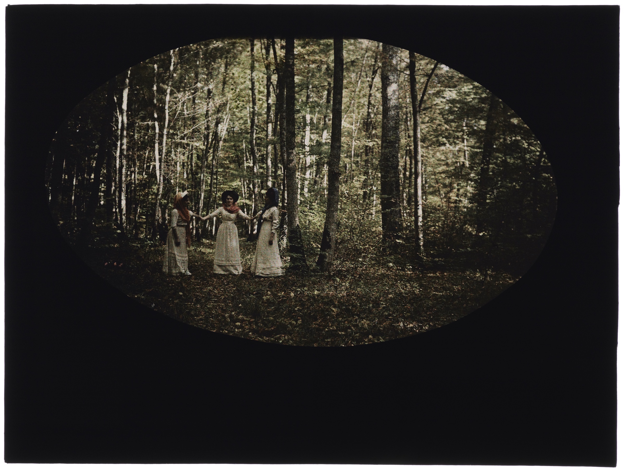 Un ou trois femmes en blanc dans la forêt