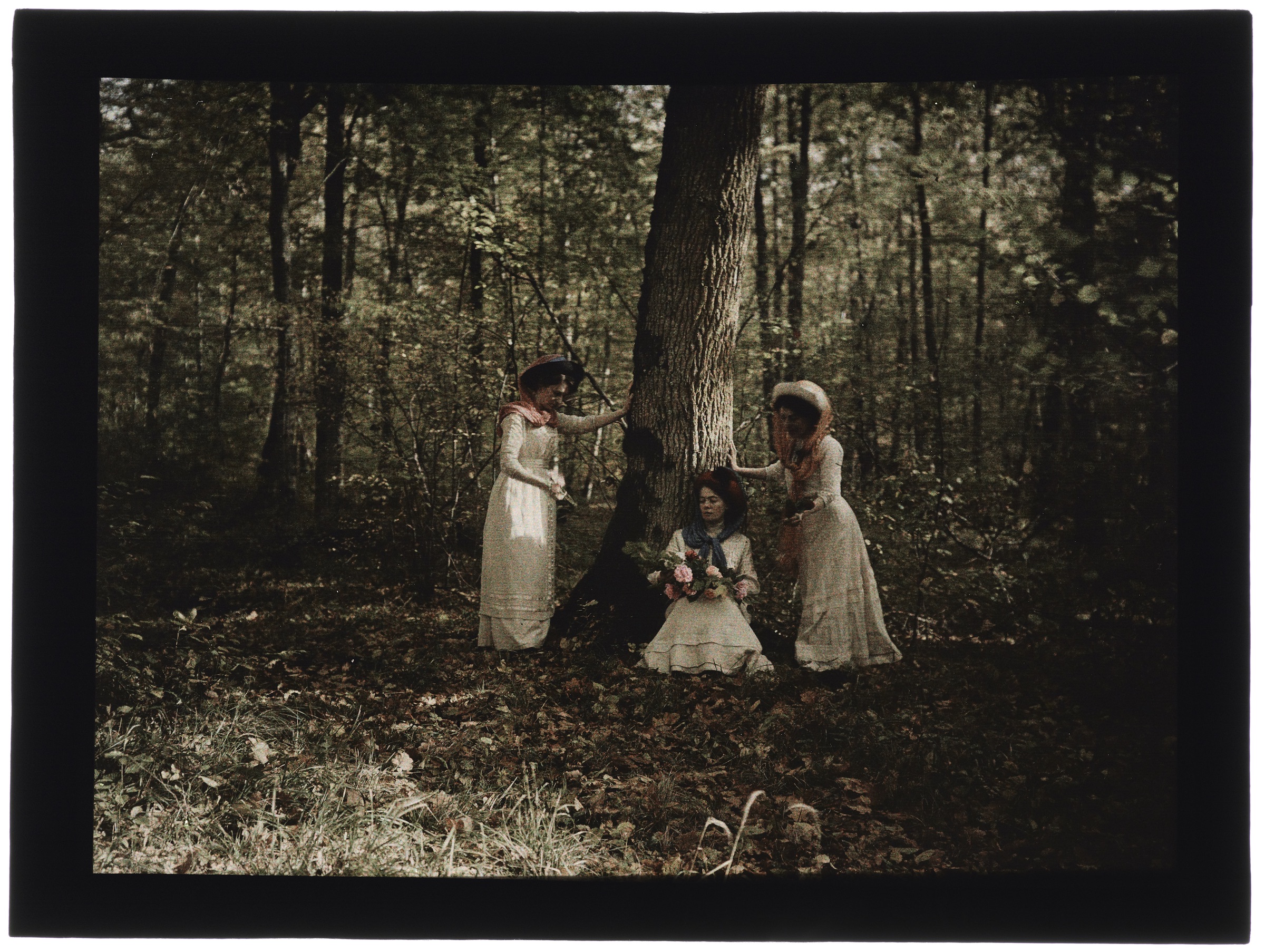Un ou trois femmes en blanc dans la forêt