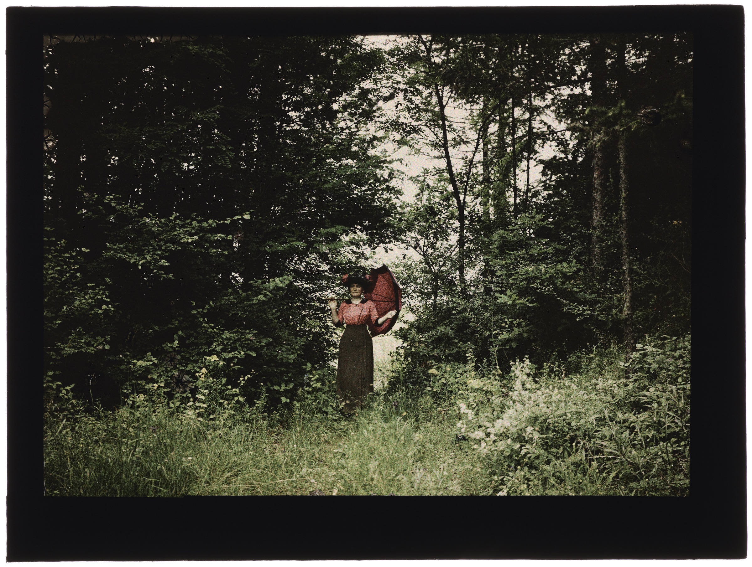 Femme(s) dans la forêt (avec de hautes buttes de terre) ou la campagne