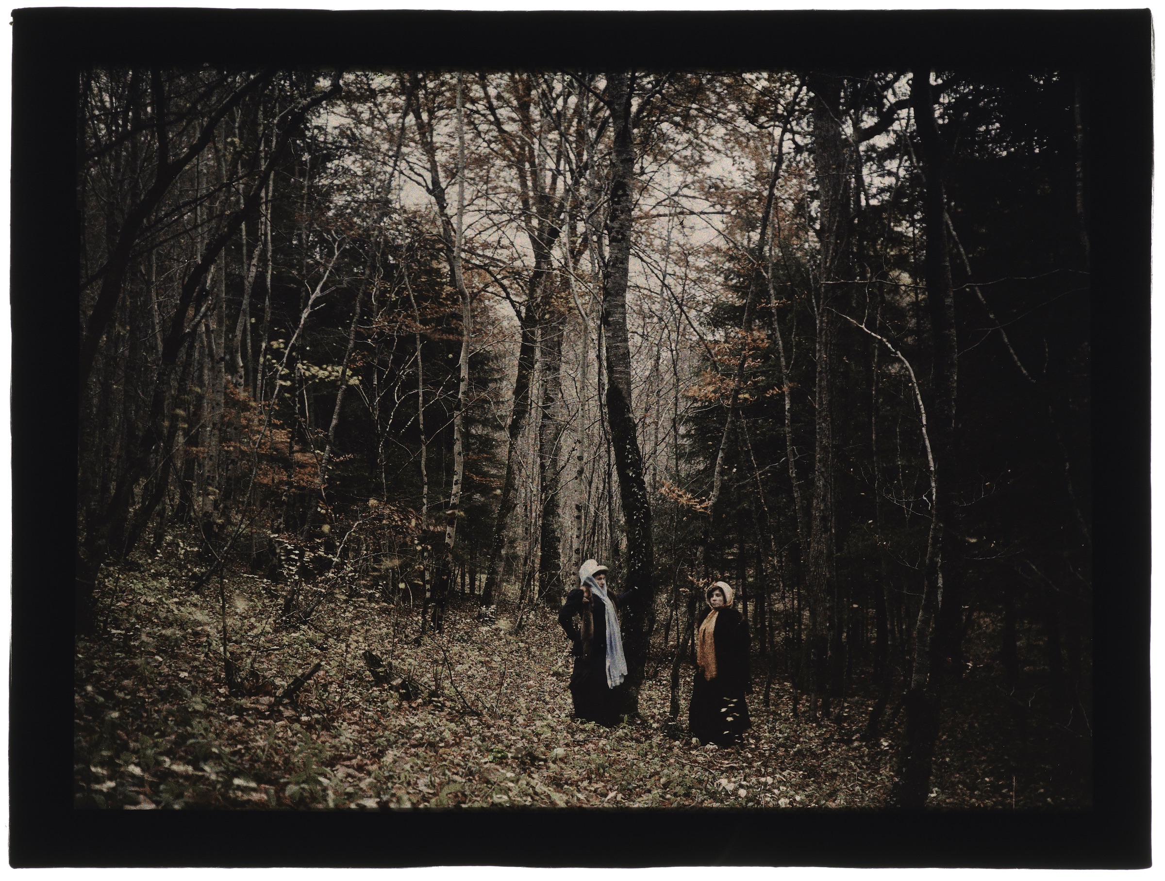 Deux femmes en forêt