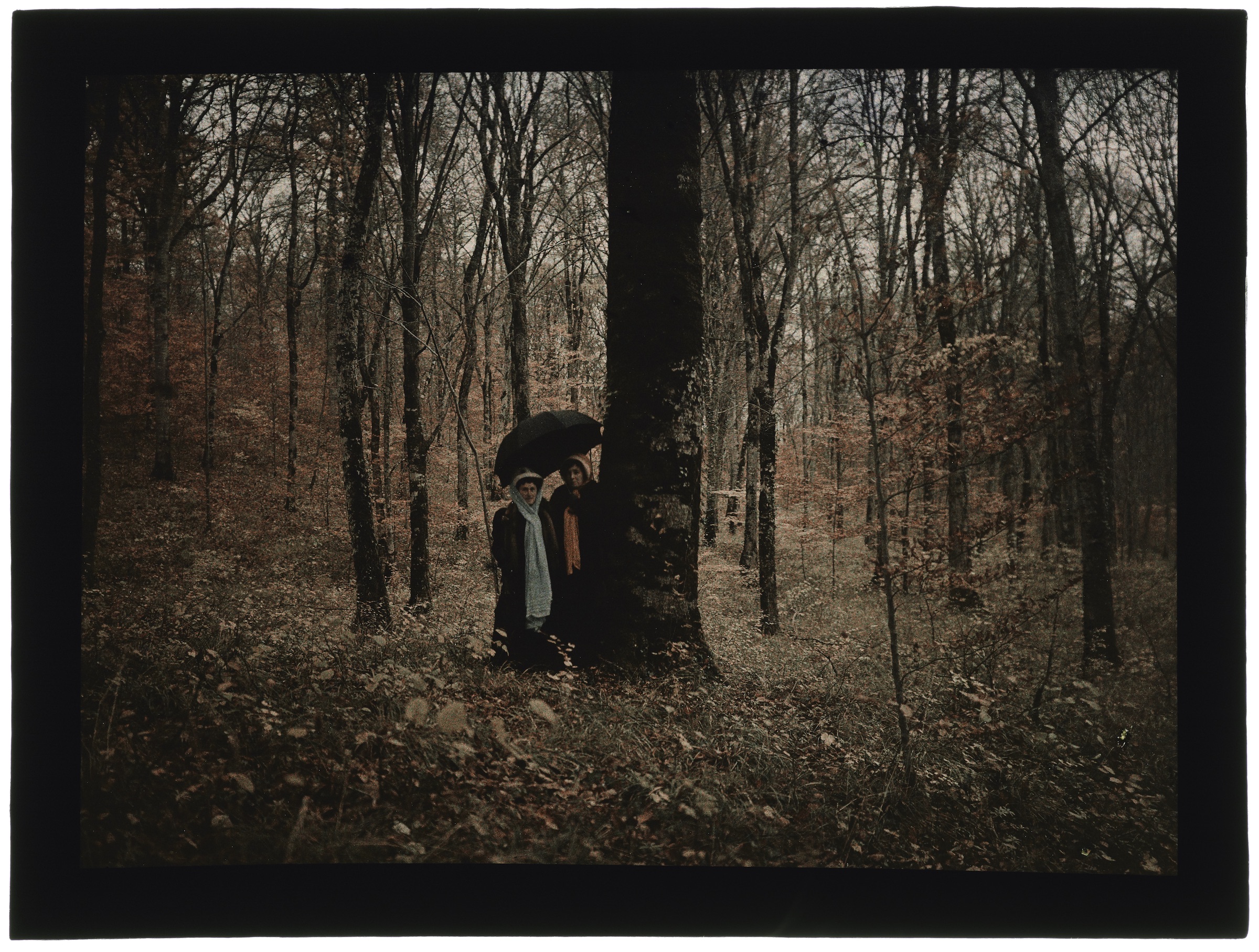 Deux femmes en forêt