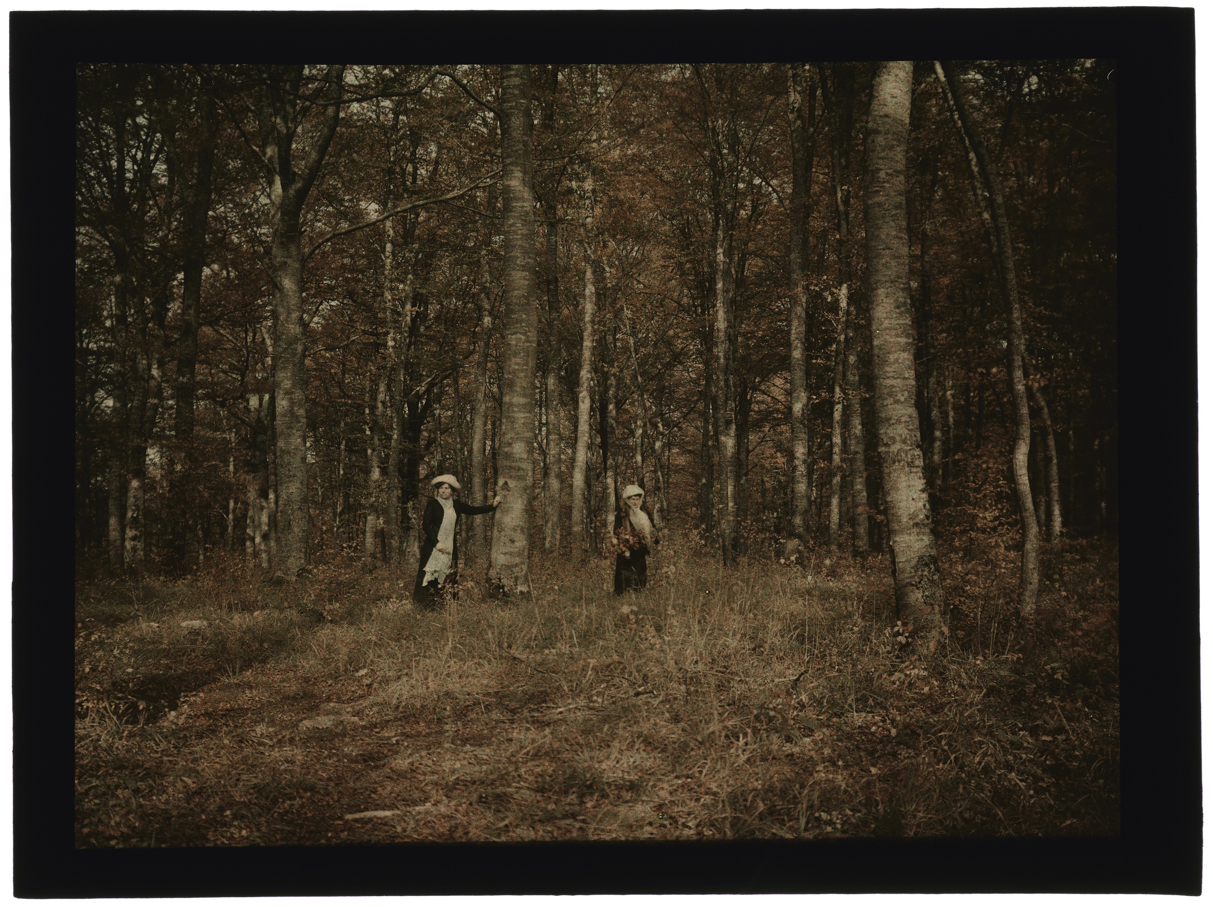 Deux femmes dans la forêt