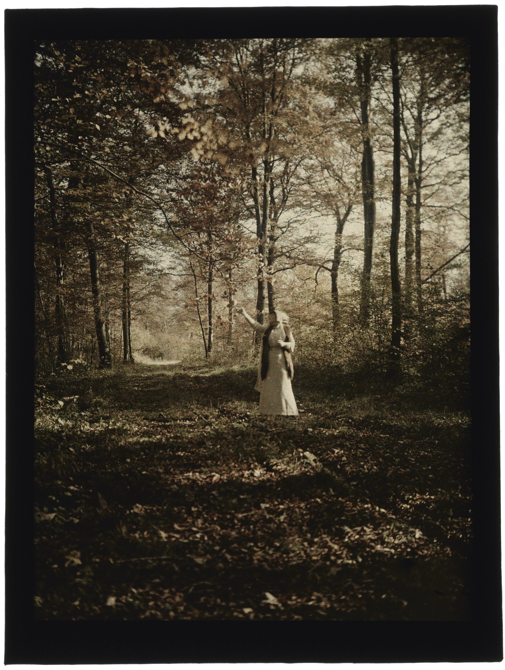 Femme dans la forêt