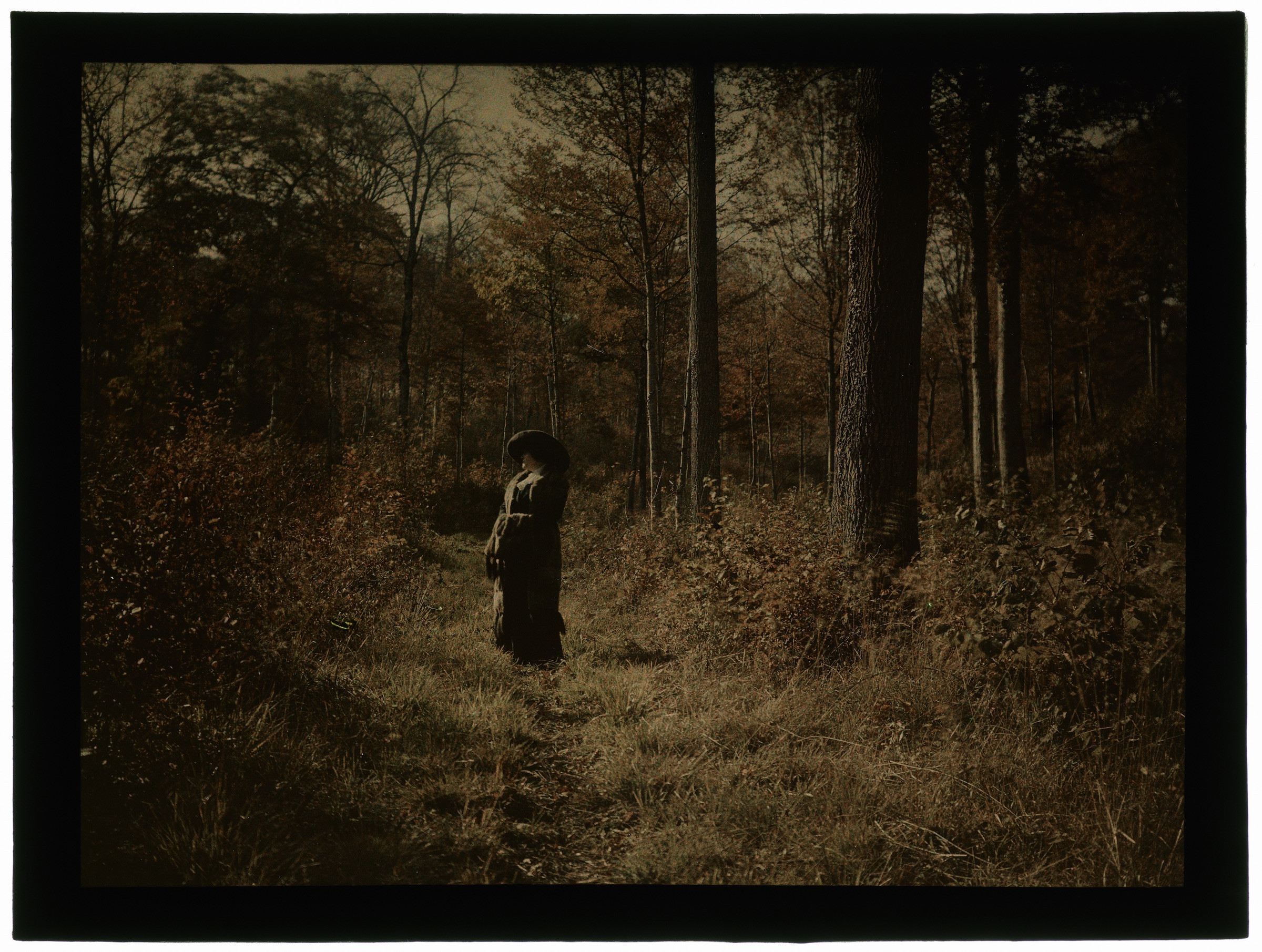 Femme dans la forêt