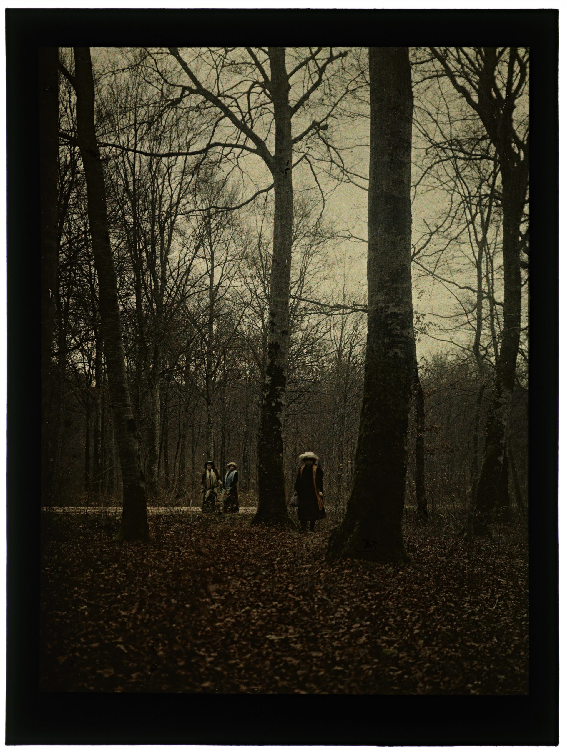 Femmes dans la forêt