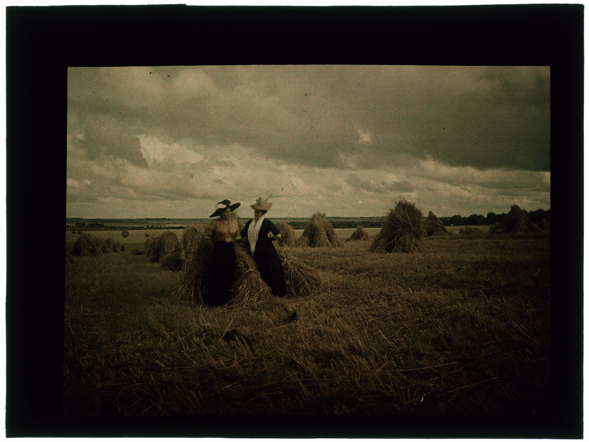 Femme dans les champs de blé moissonné