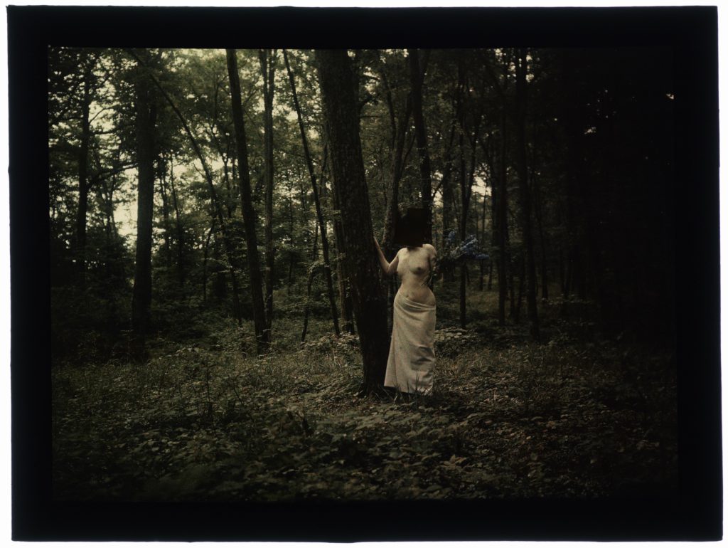 Nue Dans La Forêt Énsad Nancy Autochromes 3704