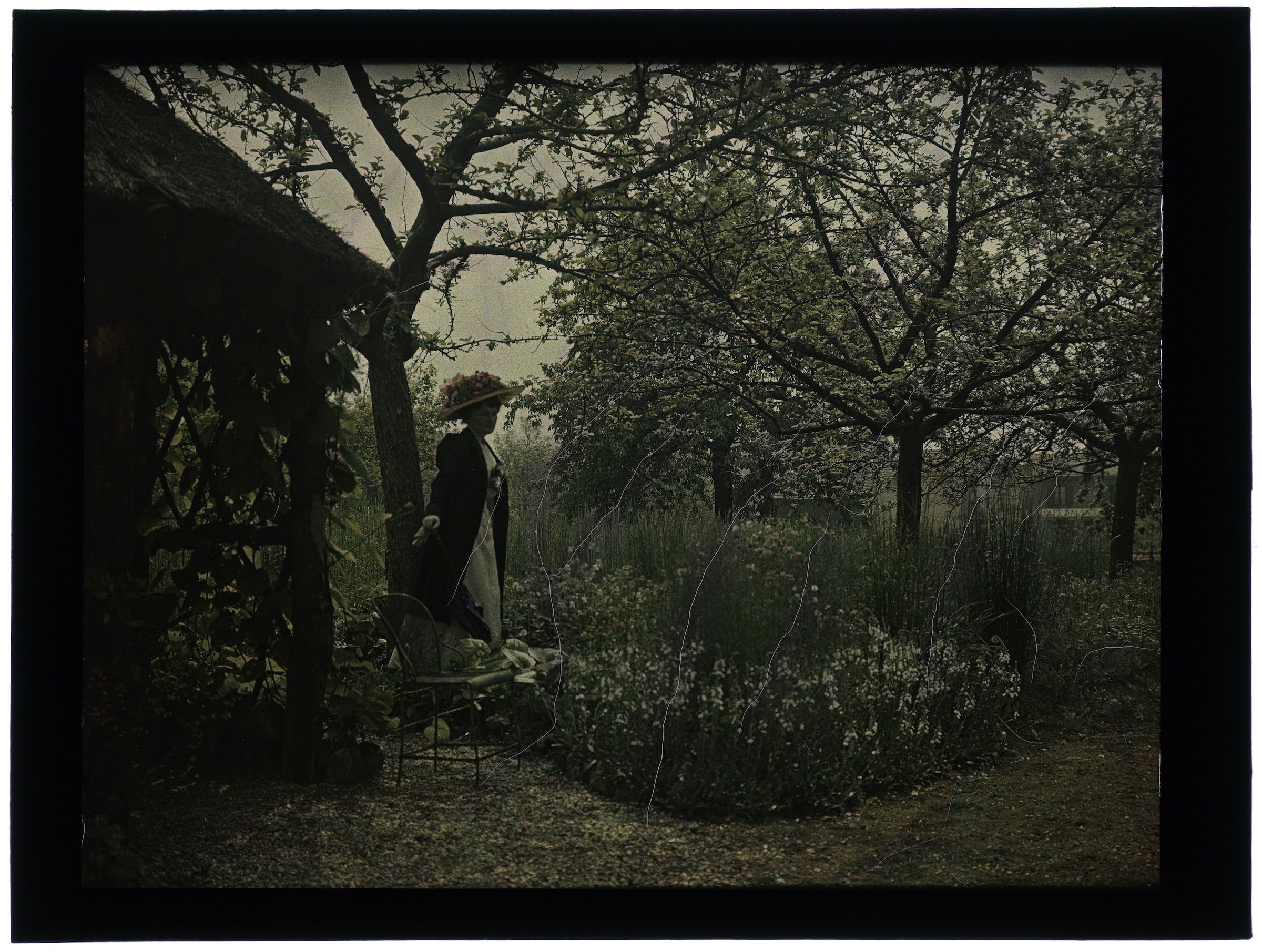 Femme dans le jardin fleuri