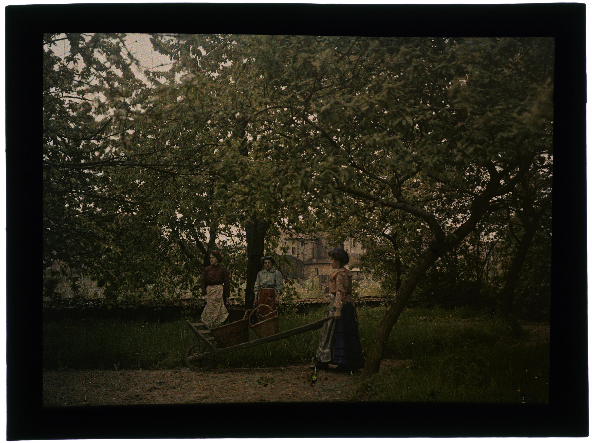 Femme dans le jardin fleuri avec tonnelle