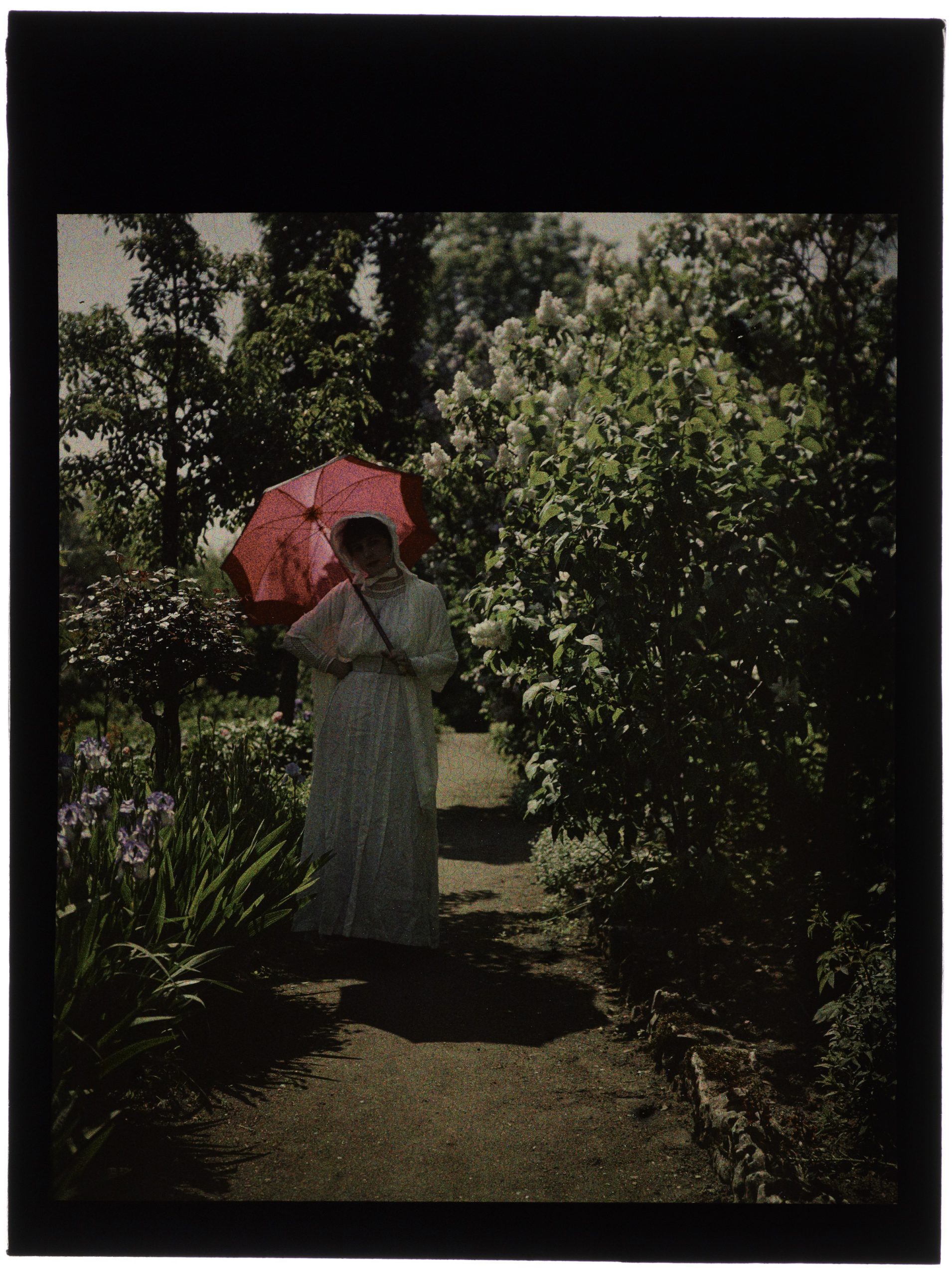 Femme au jardin en fleurs