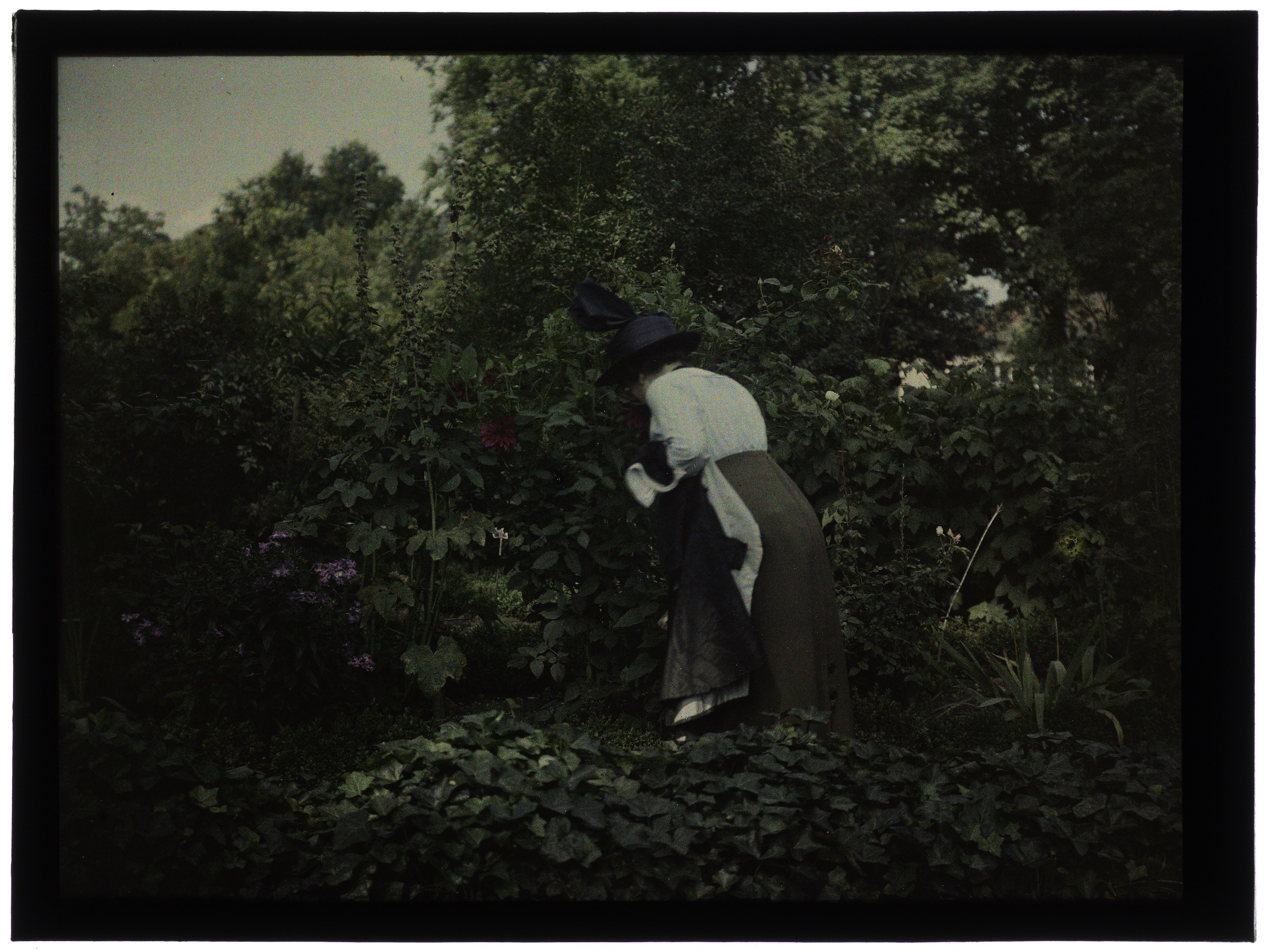 Femme au jardin